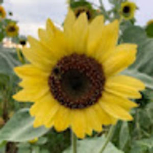 Meet your Posher, Makenna